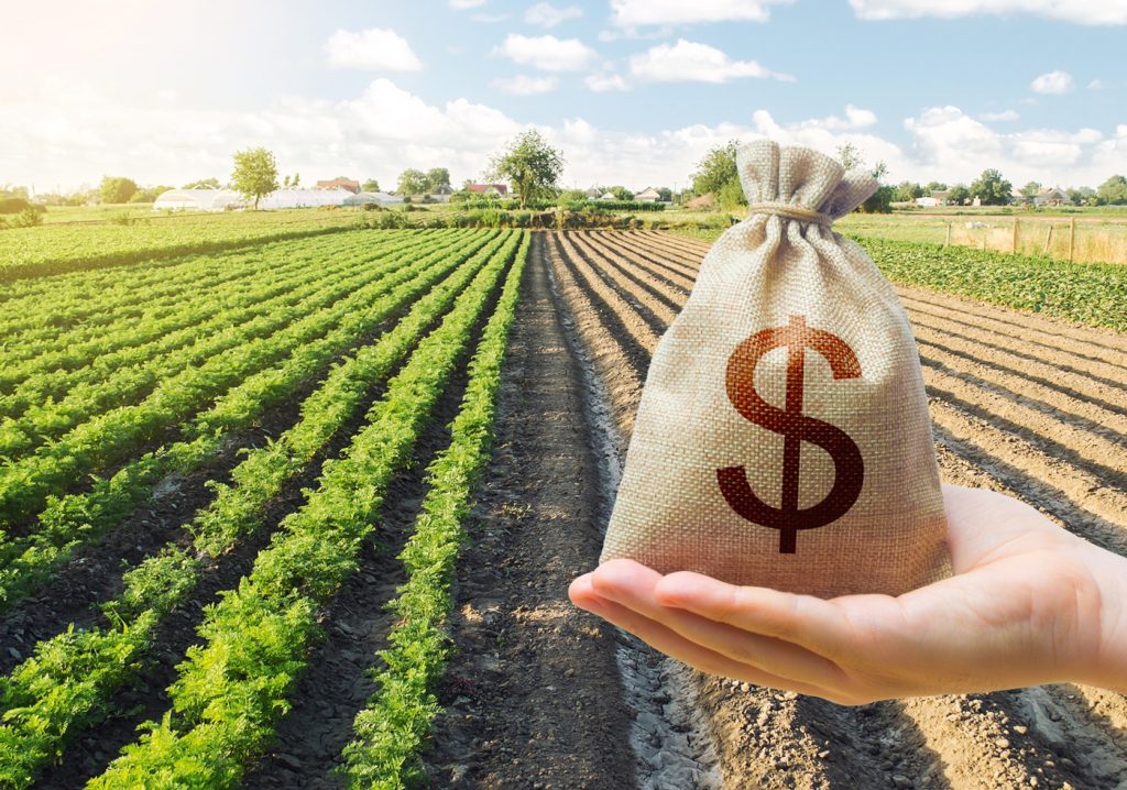 Farm Lending Canada partners with BMO to tap into agricultural financing boom