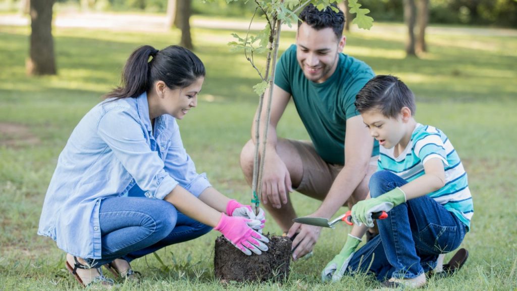 What is green banking? 4 ways you can help protect the environment