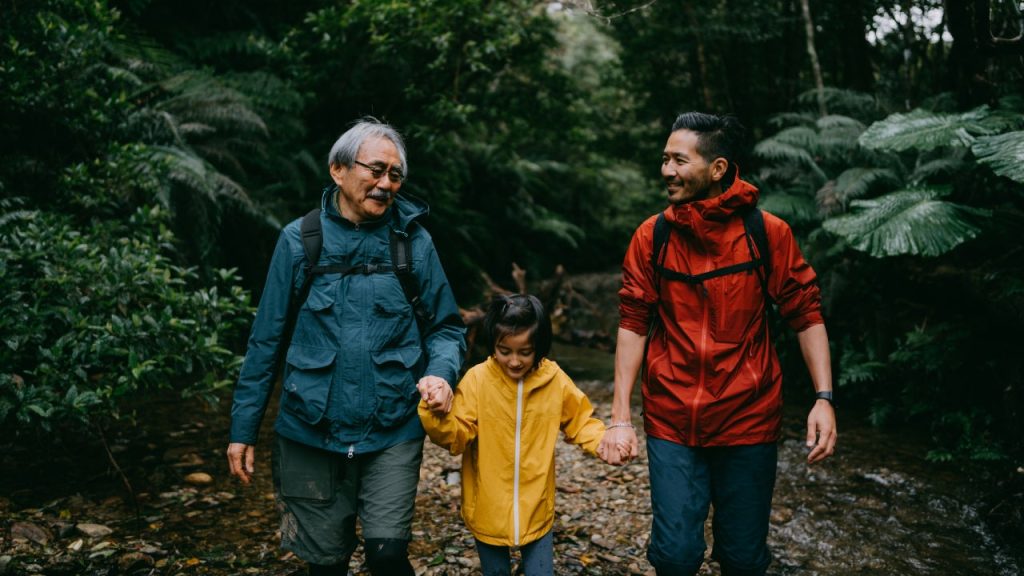 Tips to survive a bear market at any stage of your investing life