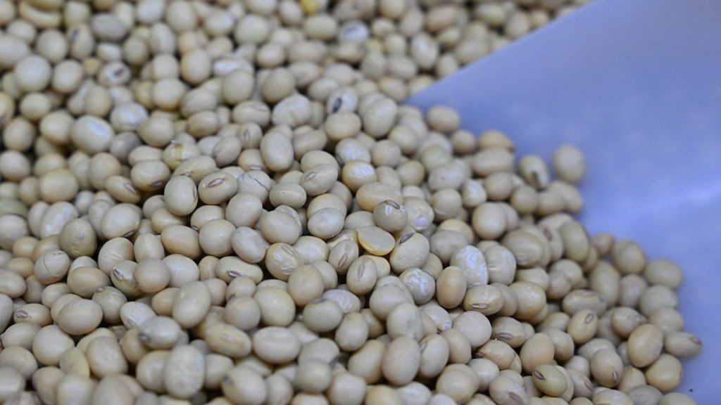U.S.-China soybeans reveals food security goals. Goldman Sachs plays U.S.-China soybeans reveals food security goals. Goldman Sachs plays