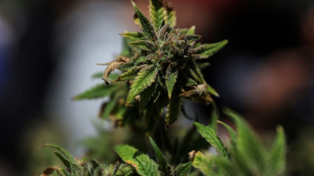 Stocks making the biggest moves premarket: IRBT, LVS, TLRY